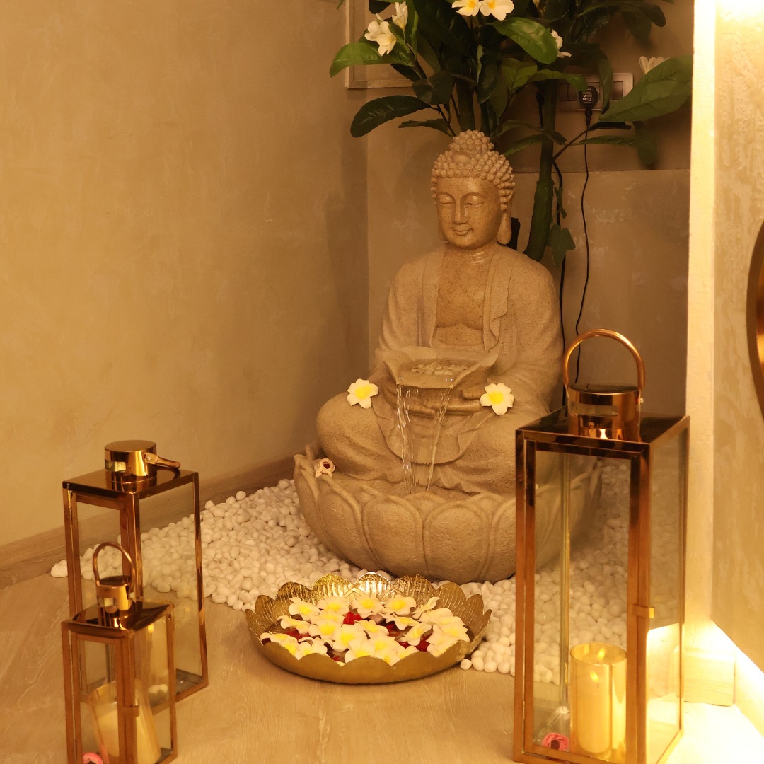 pranaa wellness spa (1)